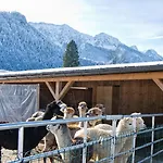 Restner Vendégház