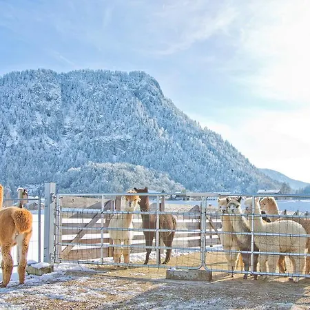 Restner Inzell