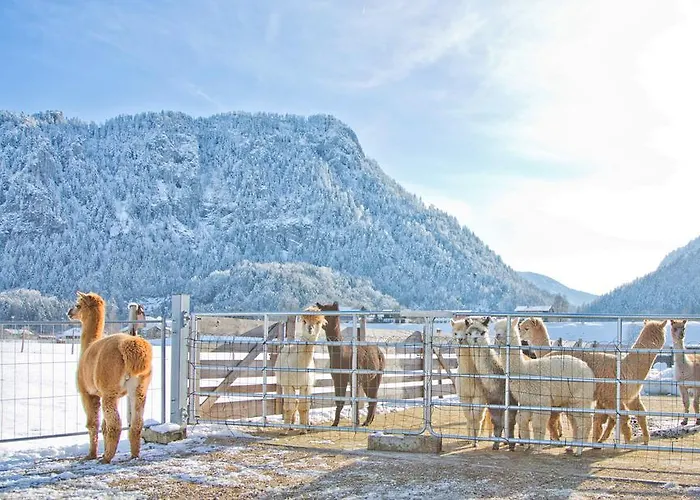 Restner Inzell